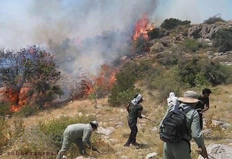 آتش سوزی منطقه حفاظت شده کوه دیل گچساران پس از ۸۰ساعت تلاش مهار شد