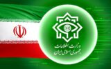 اگر دیدید تمامی سرنشینان یک وانت ماسک و عینک زدند گزارش کنید اگر دیدید تمامی سرنشینان یک وانت ماسک و عینک زدند گزارش کنید