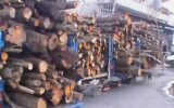 کشف ۲ تن هیزم قاچاق در گچساران کشف ۲ تن هیزم قاچاق در گچساران