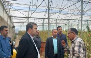 آغاز پرحاشیه ریاست جدید جهاد کشاورزی کهگیلویه و بویراحمد آغاز پرحاشیه ریاست جدید جهاد کشاورزی کهگیلویه و بویراحمد