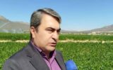 اجرای کنترل بیولوژیک در ۲۰۰۰ هکتار از مزارع کهگیلویه و بویراحمد اجرای کنترل بیولوژیک در ۲۰۰۰ هکتار از مزارع کهگیلویه و بویراحمد