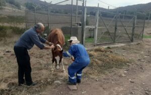 جایی که انسانیت کارکنان صنعت نفت از مرز وظیفه عبور می‌کند