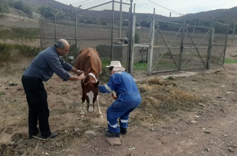جایی که انسانیت کارکنان صنعت نفت از مرز وظیفه عبور میکند جایی که انسانیت کارکنان صنعت نفت از مرز وظیفه عبور میکند