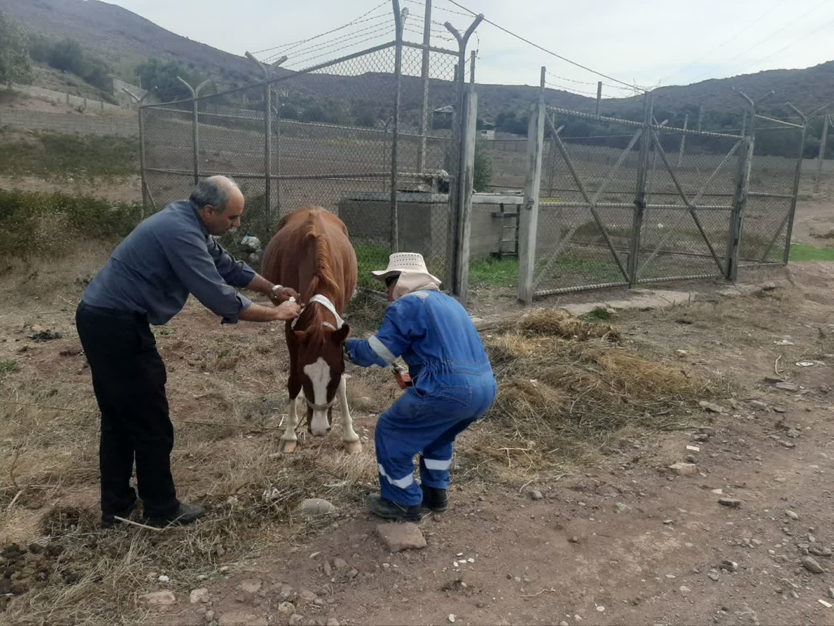 جایی که انسانیت کارکنان صنعت نفت از مرز وظیفه عبور میکند