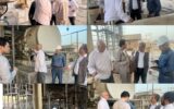 بازدید میدانی مدیر منطقه خلیج‌فارس از مرکز انتقال نفت جدید بندرعباس